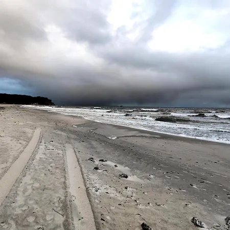 Complex In Near * Зеллин