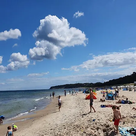 Апартаменты Complex In Near *