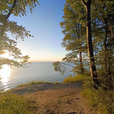 Complex In Near Апартаменты *