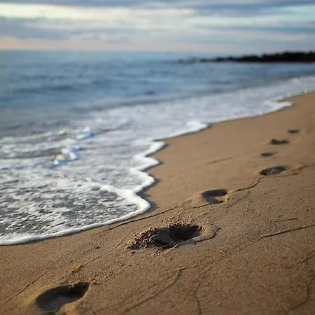 Апартаменты Complex In Near