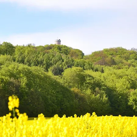 Complex In Near Апартаменты